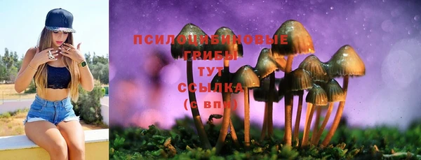 кокаин перу Михайловка