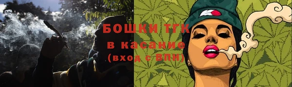 хмурый Михайловск