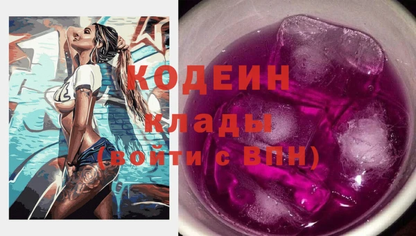 хмурый Михайловск