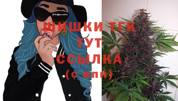 хмурый Михайловск