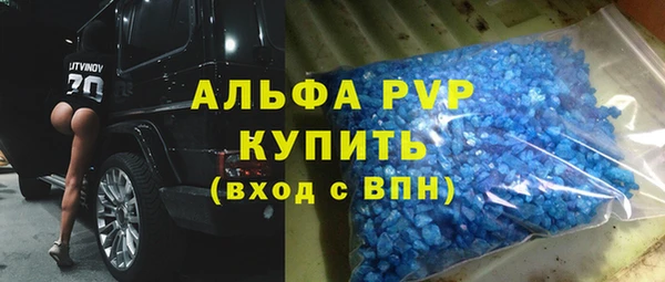крисы Надым