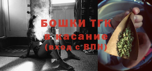 хмурый Михайловск