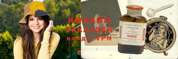 хмурый Михайловск